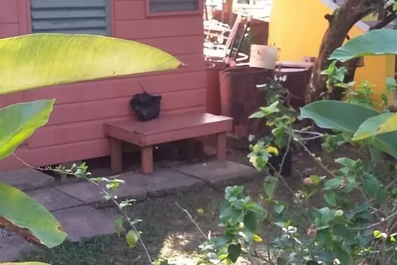 استراحتگاه Secret Cabins At Firefly Beach