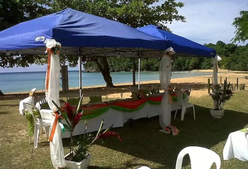 Shaw Park Beach Hotel & Spa