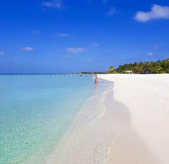 Holiday Island Resort