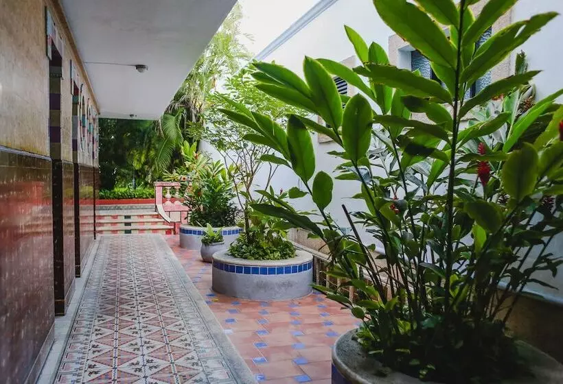 בית מלון כפרי Colon Merida