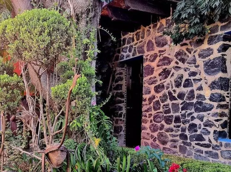 فندق Hacienda De Las Flores