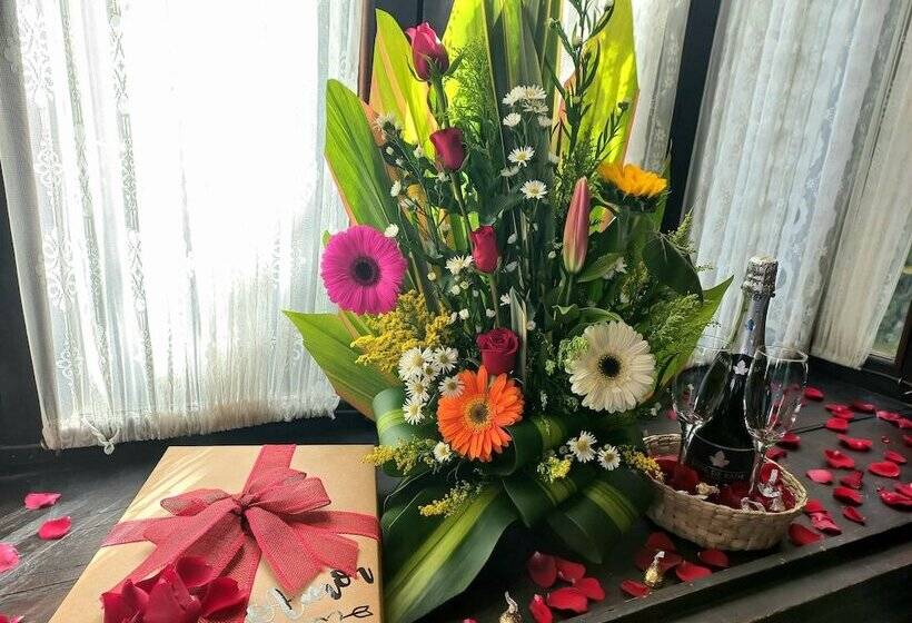 هتل Mansion Iturbe