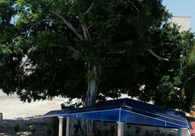 هتل Maria De Lourdes