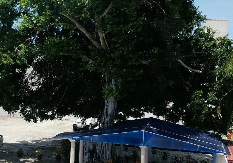 酒店 Maria De Lourdes