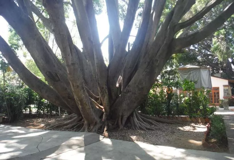 فندق Mision De Los Angeles