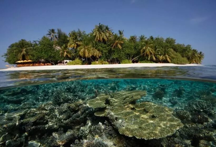 استراحتگاه Dhawa Ihuru