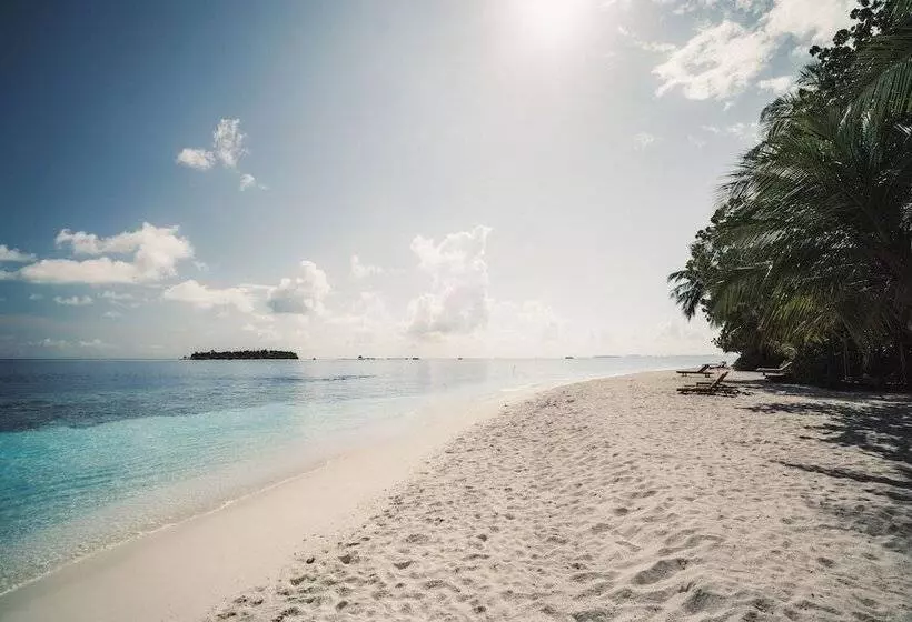 استراحتگاه Dhawa Ihuru