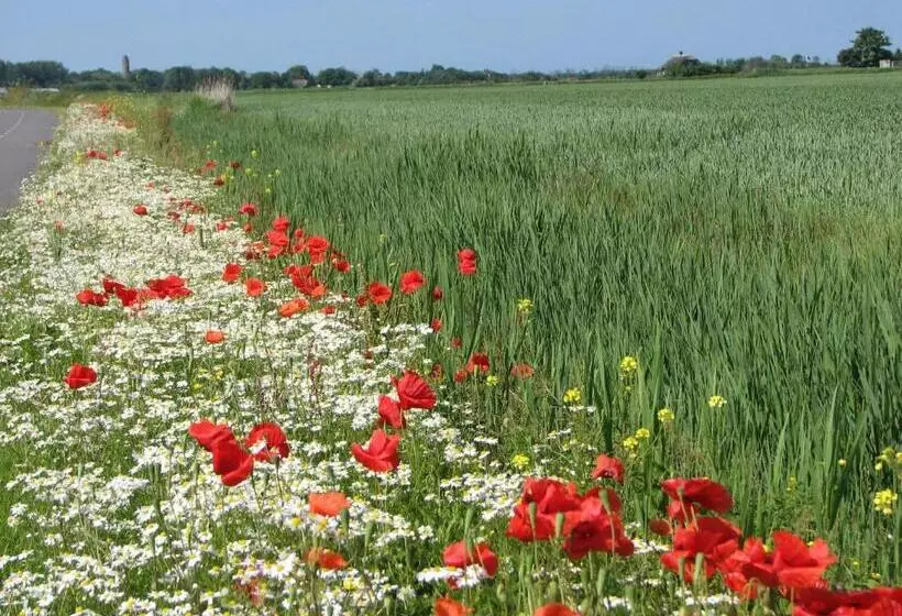 B&b Boutique Hotel De Waal