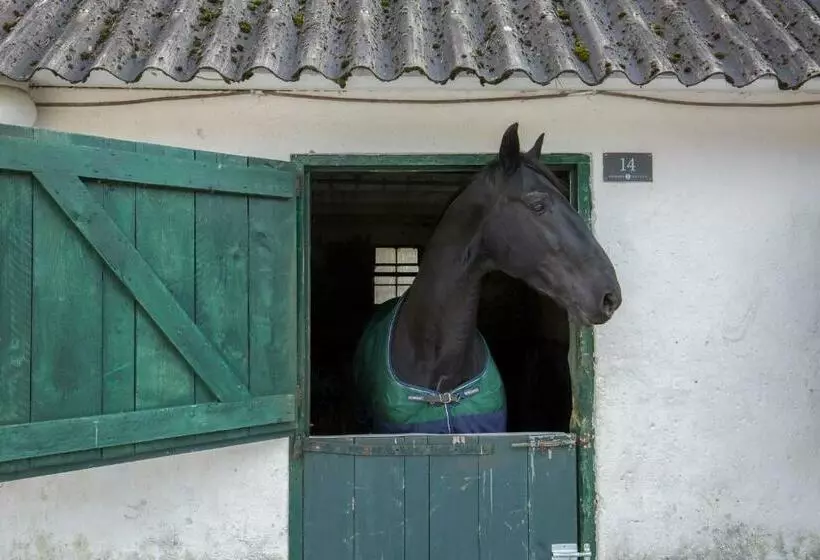 Fletcher Boutique Hotel De Mallejan