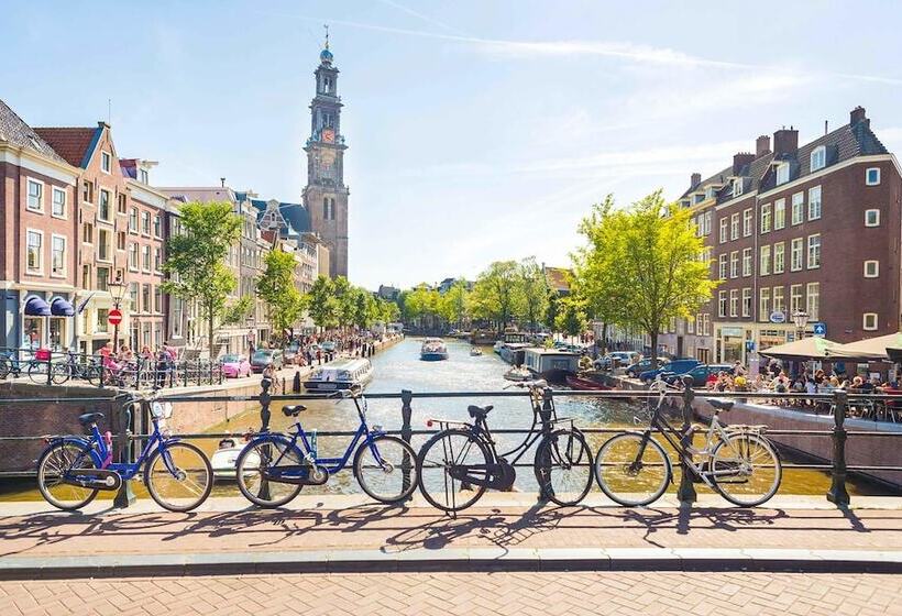 Schronisko The Flying Pig Downtown