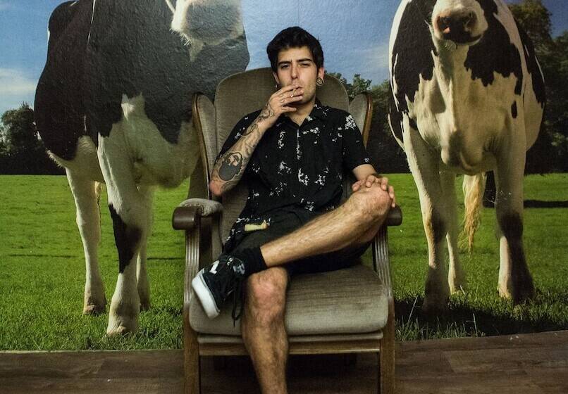 Schronisko The Flying Pig Downtown