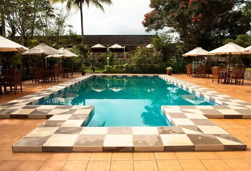 Bird Of Paradise Hotel & Apartments