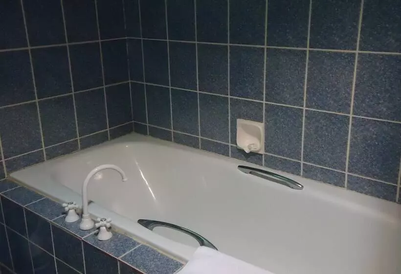 Bird Of Paradise Hotel & Apartments