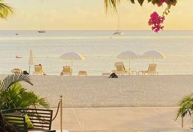 هتل Holland House Beach