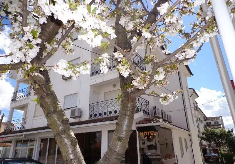 Отель 4 Estacoes