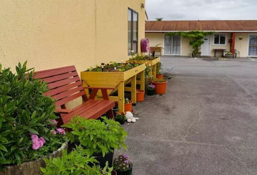 Отель Ascot Motor Lodge