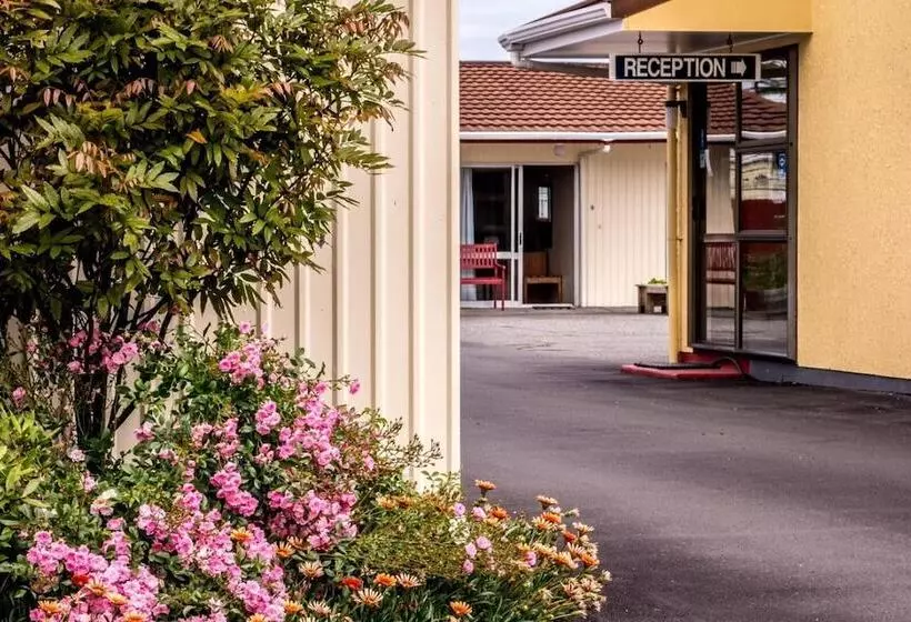 Отель Ascot Motor Lodge