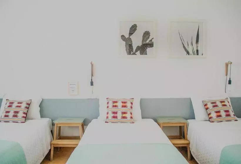 پانسیون Residencial Avenida