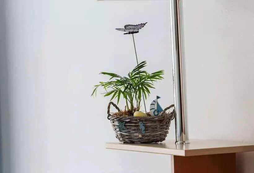 فندق Sirena Saturn All Inclusive