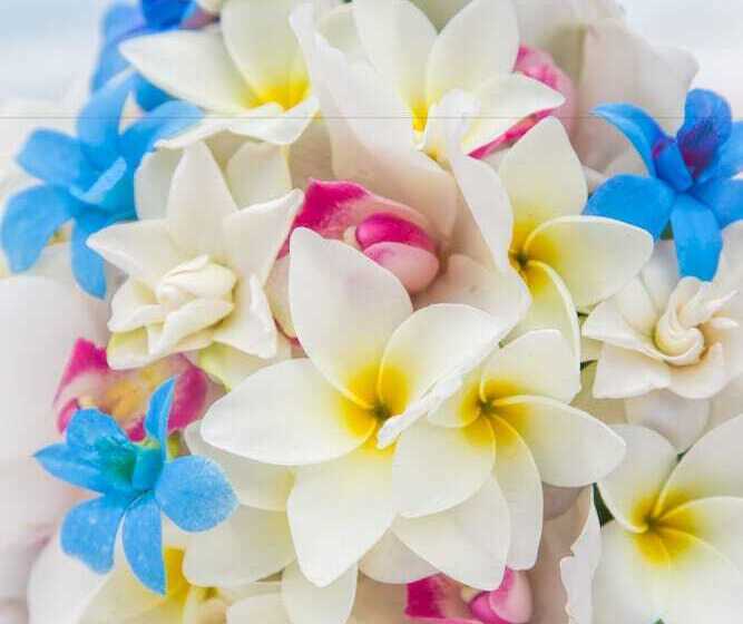 אתר נופש Sanctuary Rarotonga On The Beach