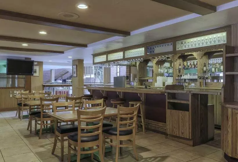 فندق Airport Inn