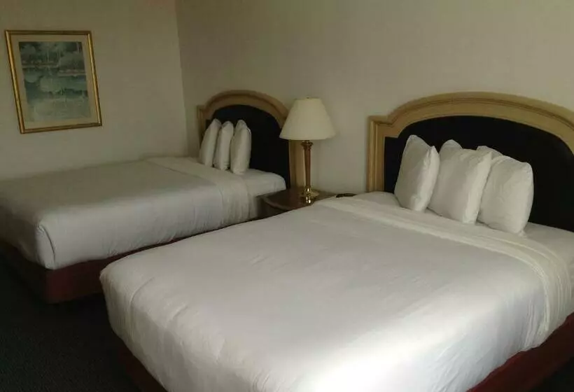 فندق Airport Inn