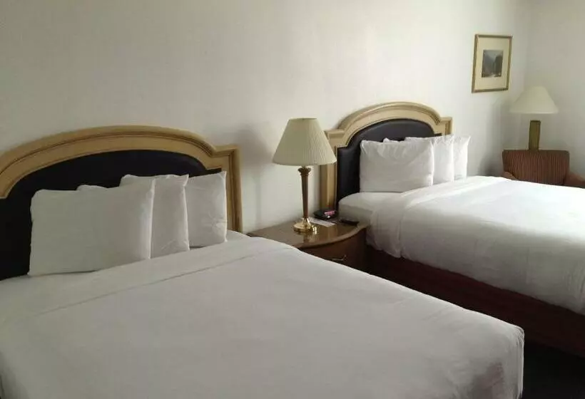 فندق Airport Inn