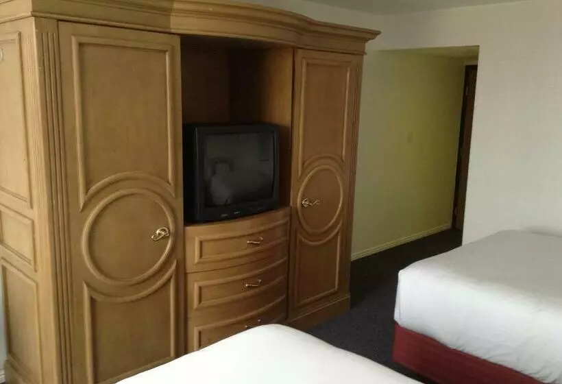 فندق Airport Inn