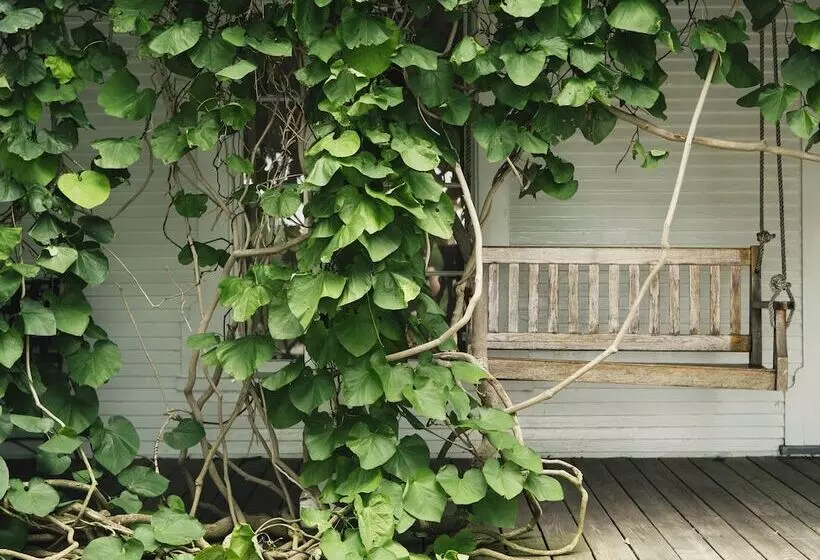 Отель Basin Harbor