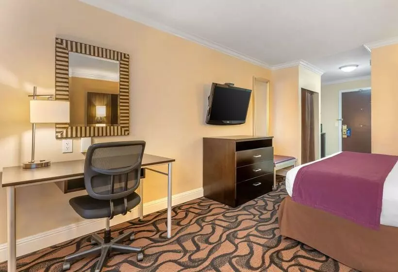 فندق Best Western Plus Airport Plaza