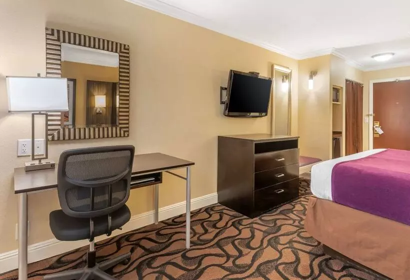 فندق Best Western Plus Airport Plaza