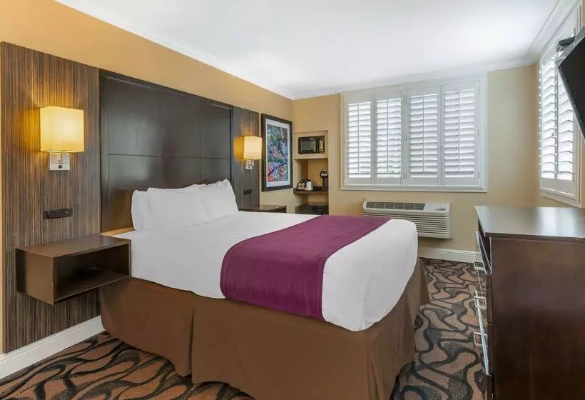 فندق Best Western Plus Airport Plaza