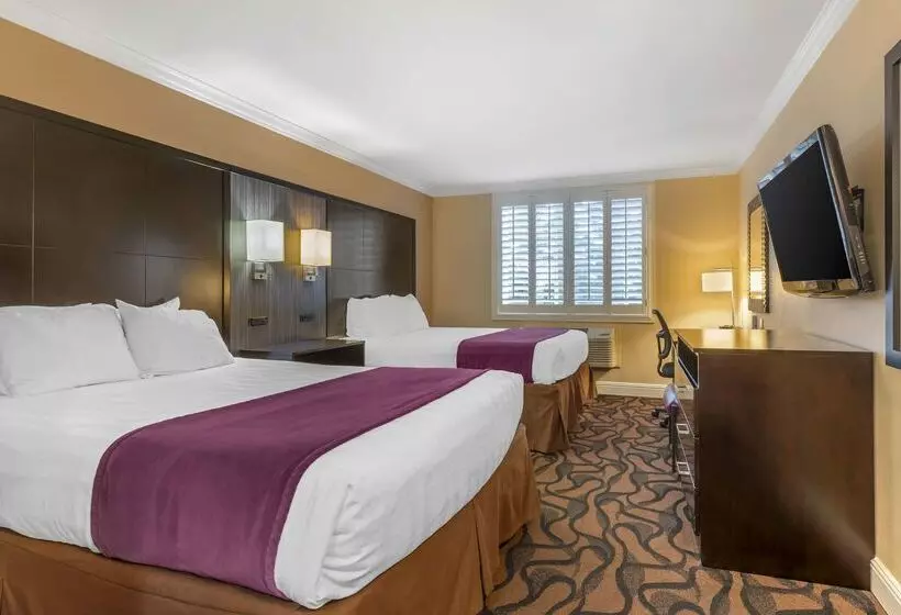 فندق Best Western Plus Airport Plaza