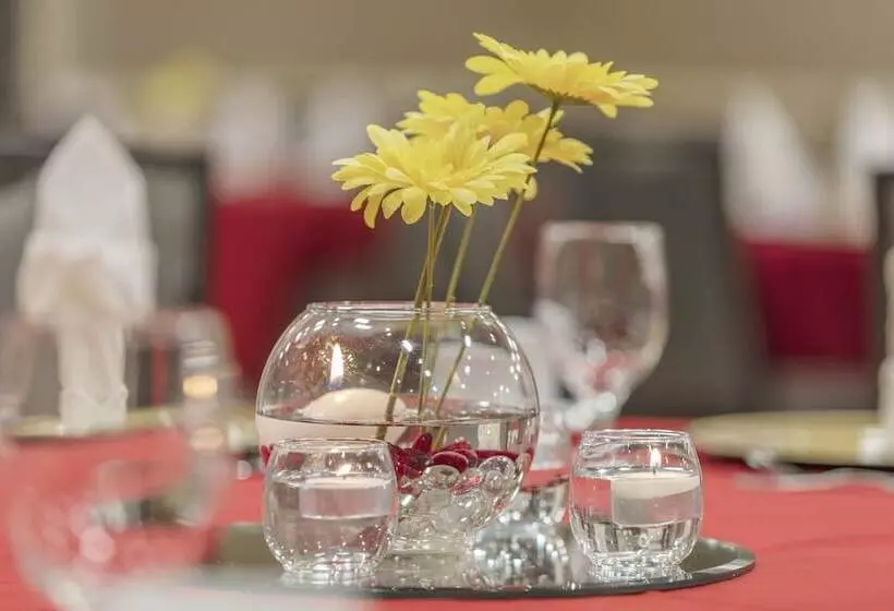 ホテル Holiday Inn Austin Midtown, An Ihg