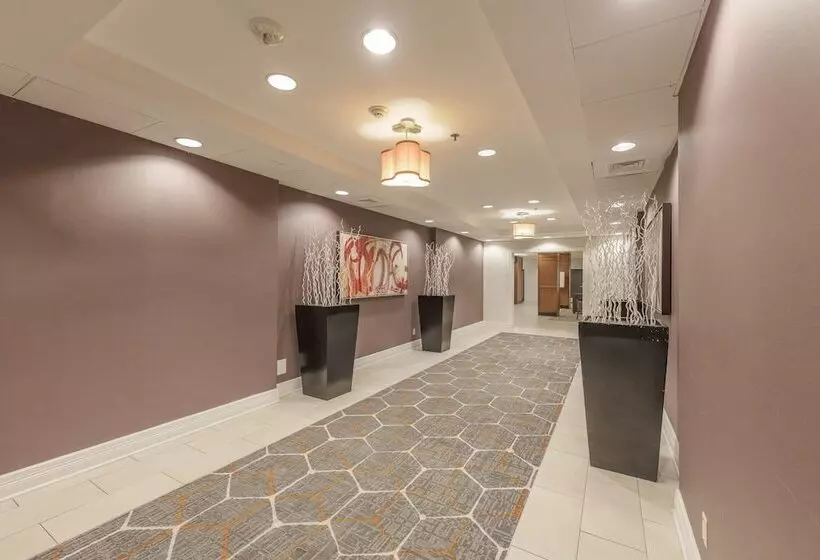 ホテル Holiday Inn Austin Midtown, An Ihg