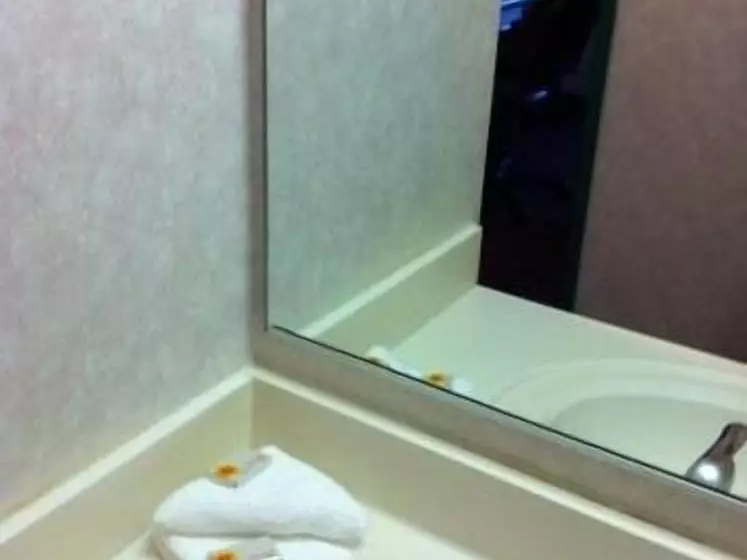 هتل O Hare Inn & Suites