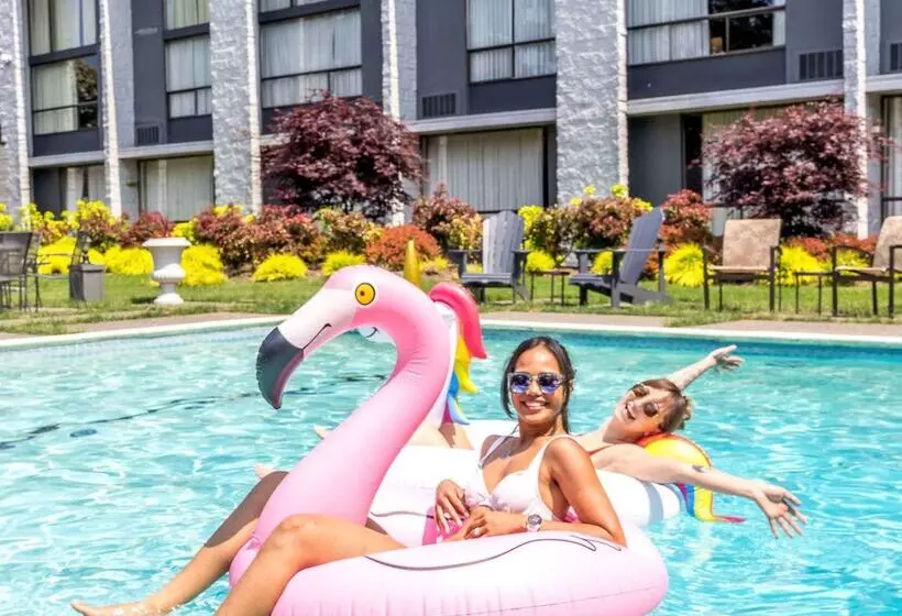 116, A Coast Hotel Bellevue