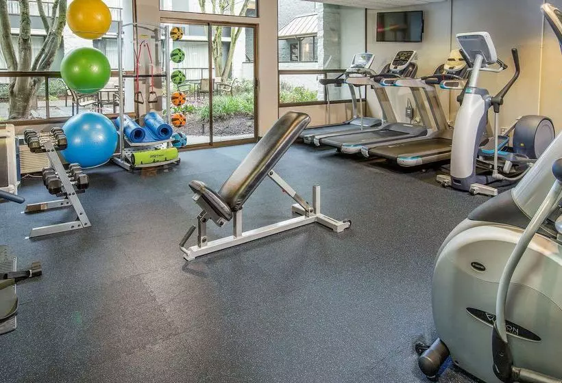 116, A Coast Hotel Bellevue