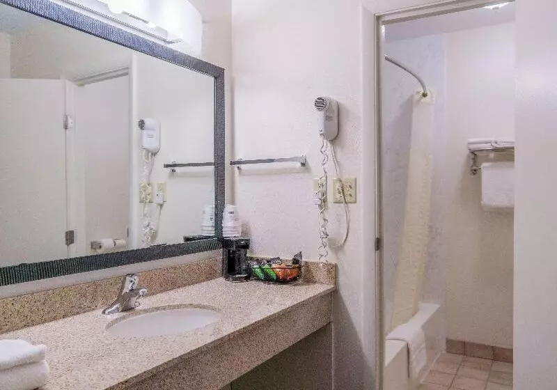 فندق Best Western Alamosa Inn