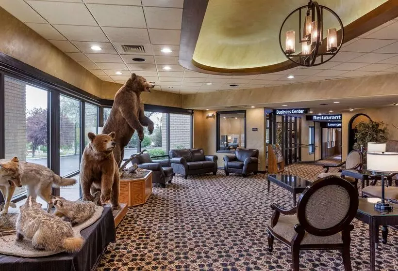 فندق Best Western Dunmar Inn