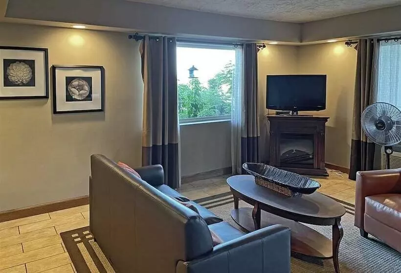 酒店 Quality Inn Clinton North