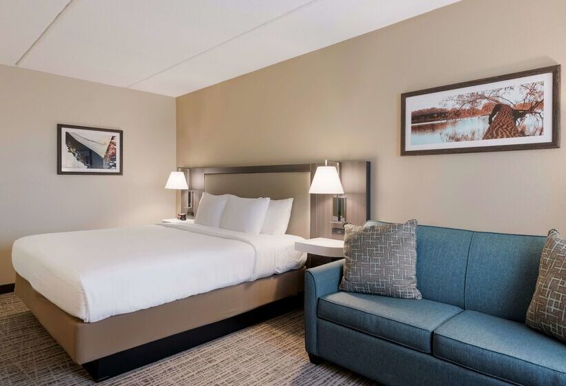 酒店 Best Western Holiday Lodge