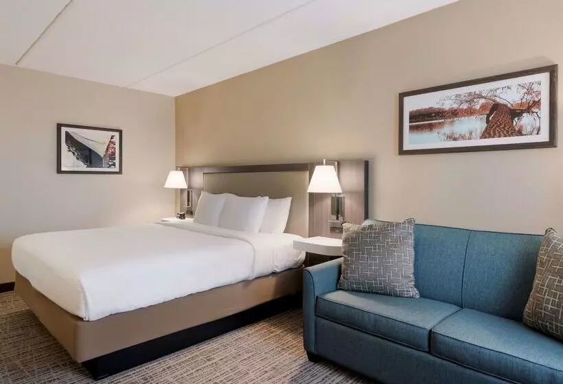 فندق Best Western Holiday Lodge