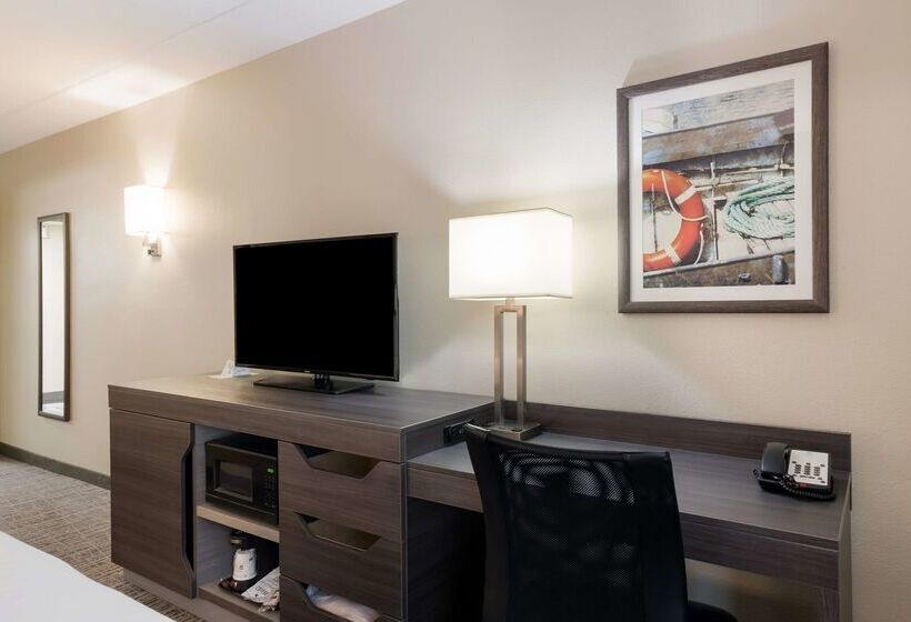 酒店 Best Western Holiday Lodge