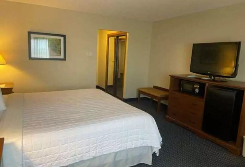 酒店 Best Western Inn