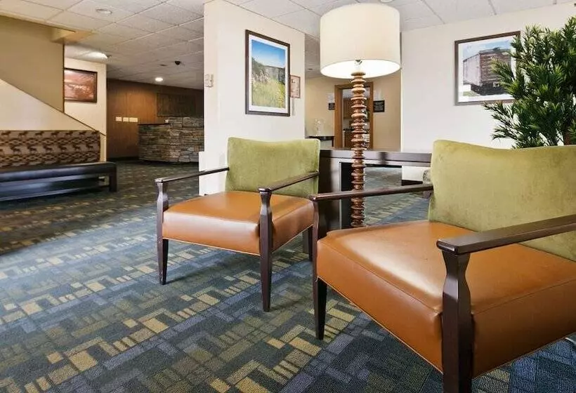 호텔 Best Western Lees Motor Inn