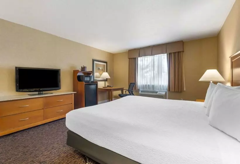 ホテル Best Western Plus Placerville Inn