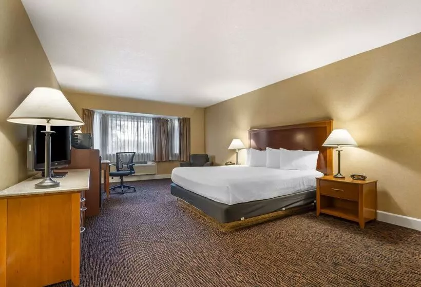 ホテル Best Western Plus Placerville Inn