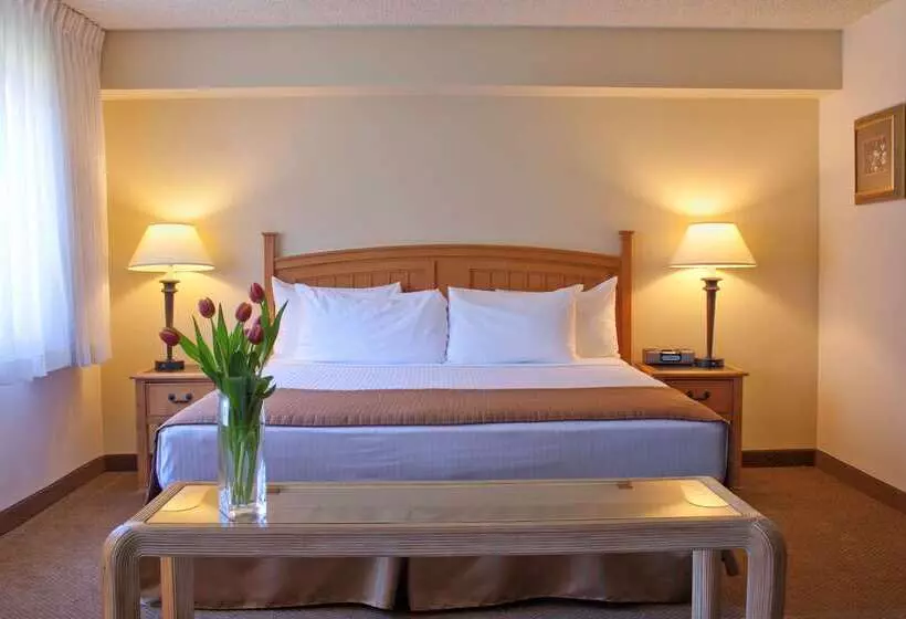 酒店 Best Western Seattle Airport