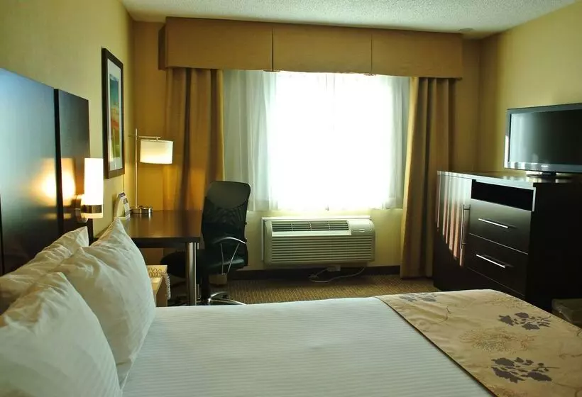 酒店 Best Western Seattle Airport